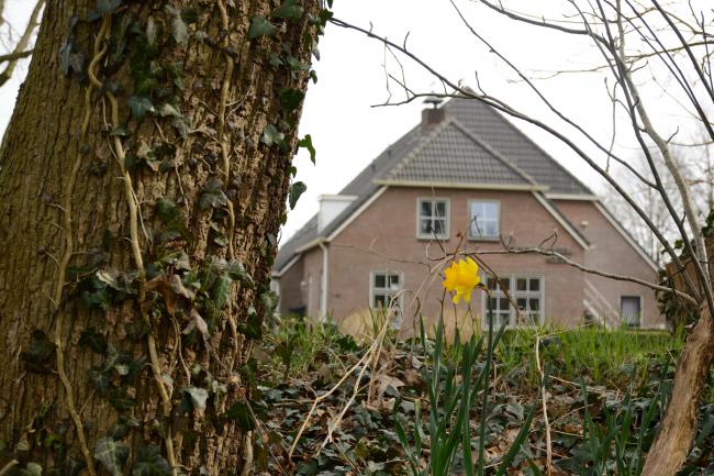 Boerhaarshoeve op maat